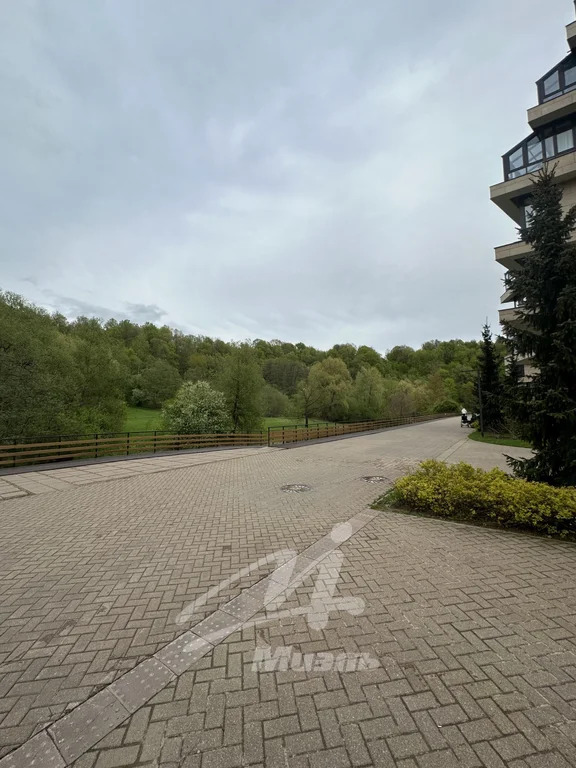 Аренда квартиры, Химки, Заречная ул. - Фото 19