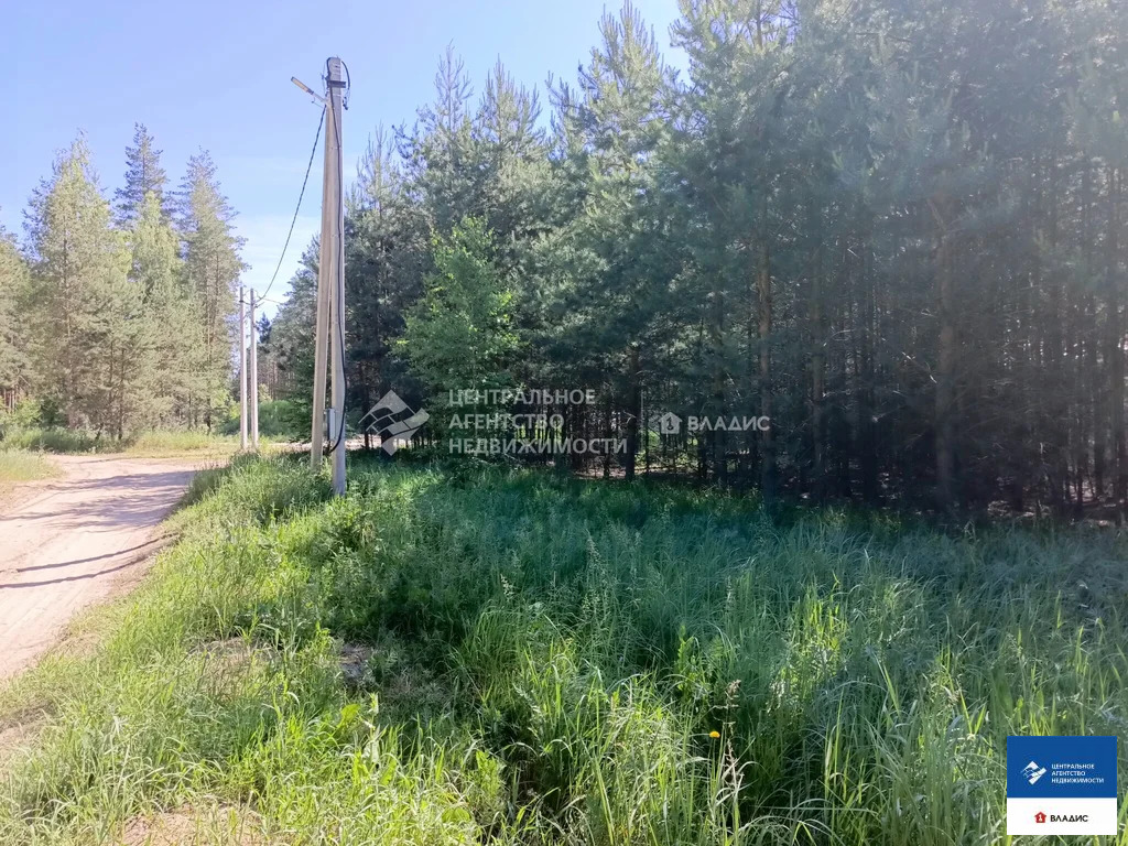 Продажа участка, Алеканово, Рязанский район - Фото 4