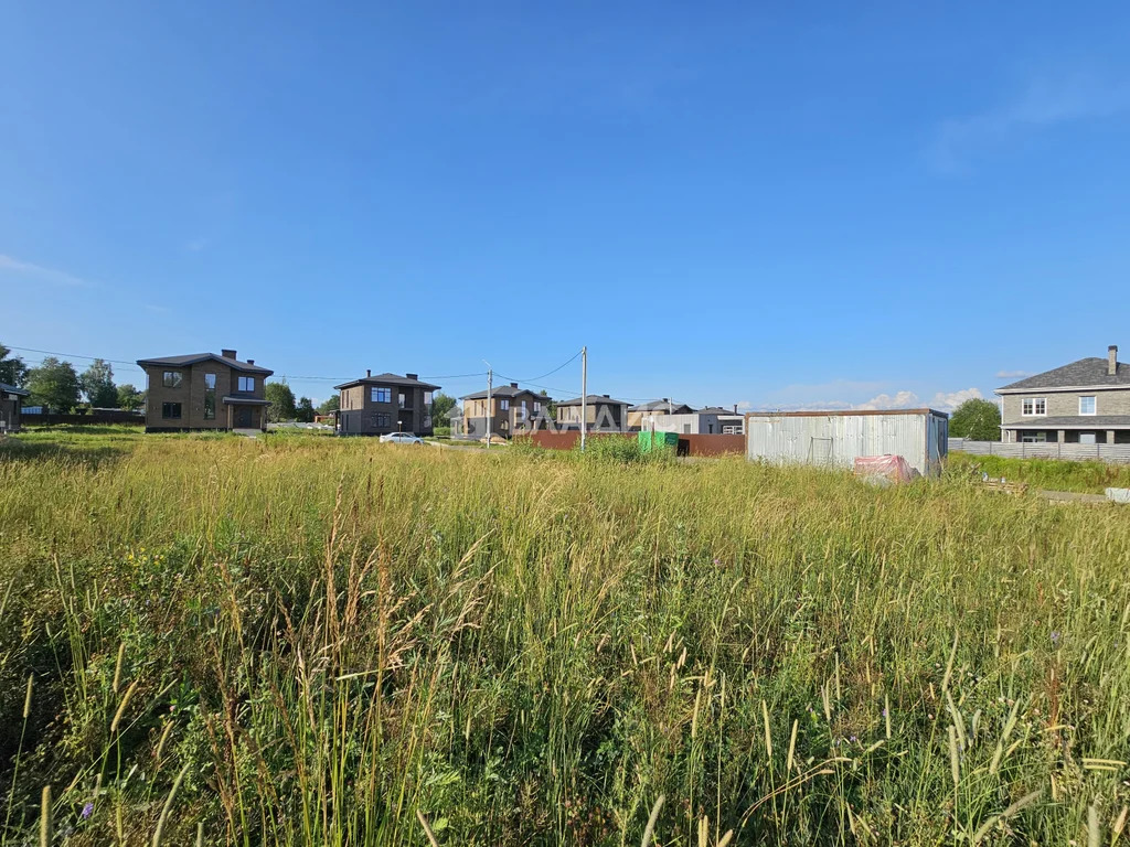 Дмитровский городской округ, деревня Векшино,  земля на продажу - Фото 2