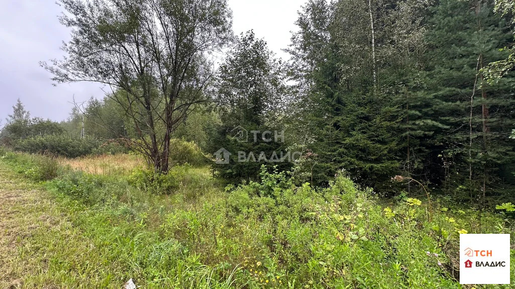 Продажа участка, Щелковский район - Фото 4