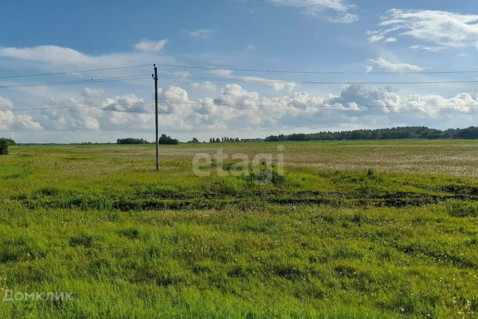 Купить Участок На Заре В Чайковском