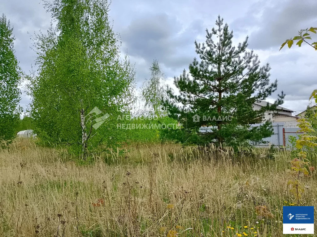 Продажа участка, Дядьково, Рязанский район, Радужный переулок - Фото 6
