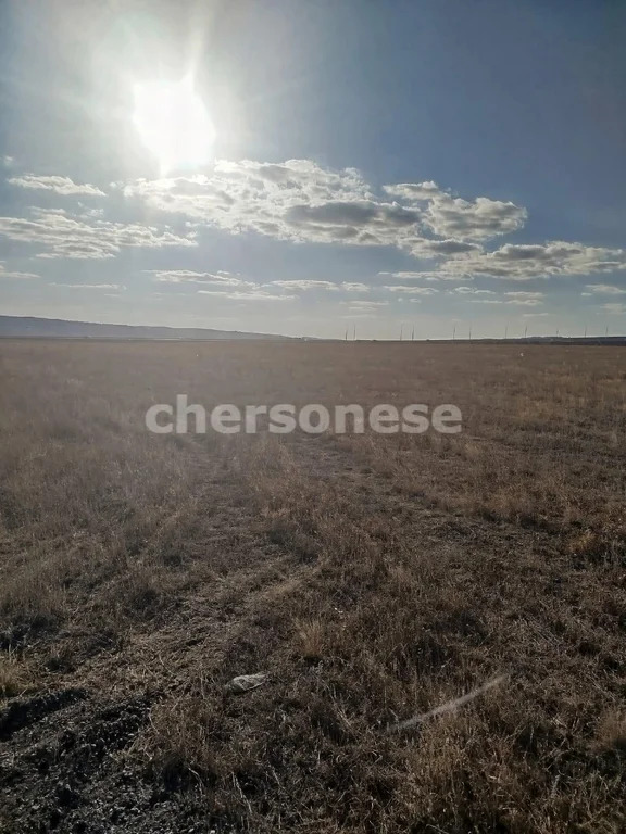 Продажа участка, Доброе, Симферопольский район, ул. Айдын - Фото 4