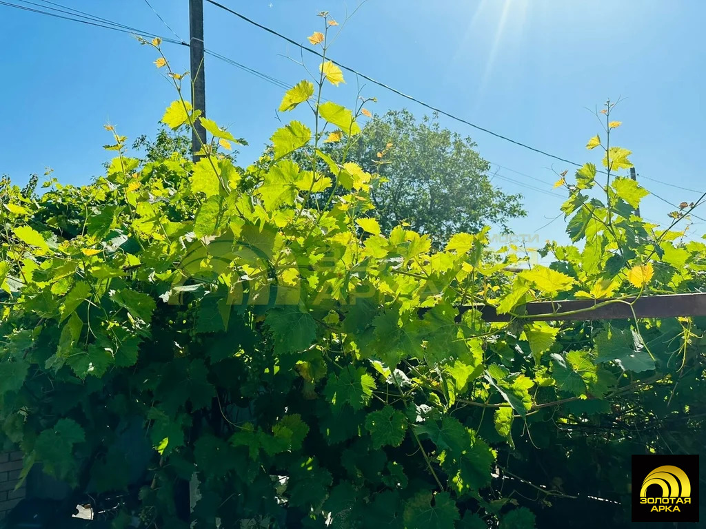 Продажа дома, Варениковская, Крымский район, ул. Дарвина - Фото 31