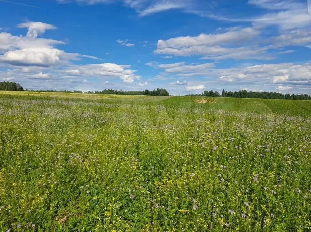 Продажа земельных участков - Фото 1