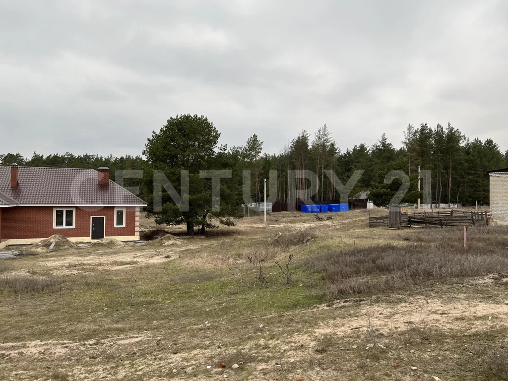 Продажа участка, Кореневщино, Добровский район, Набережная ул. - Фото 14