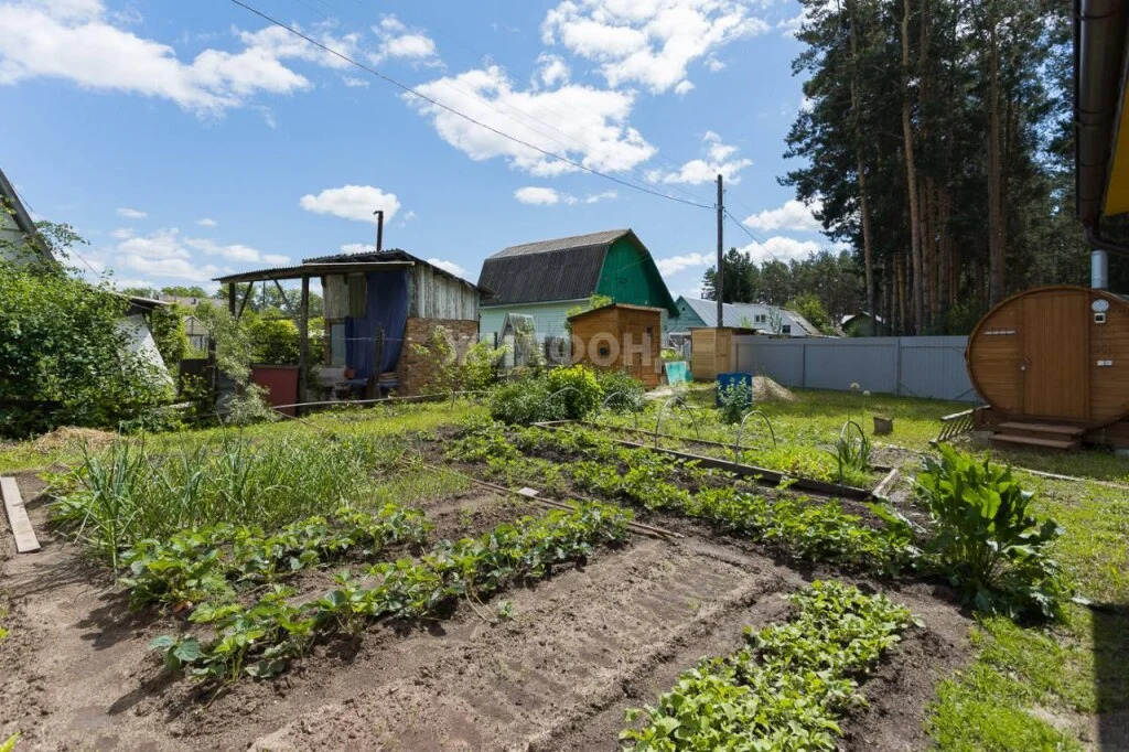 Продажа дома, Бердск, снт Дружба - Фото 8