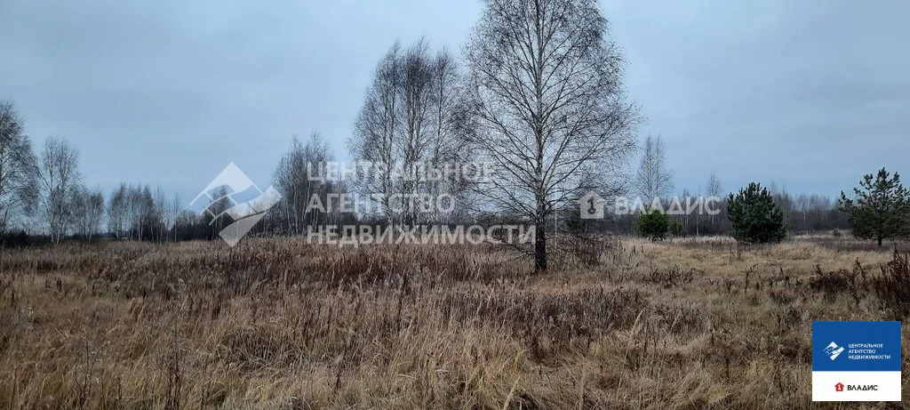 Продажа участка, Рязанский район - Фото 6