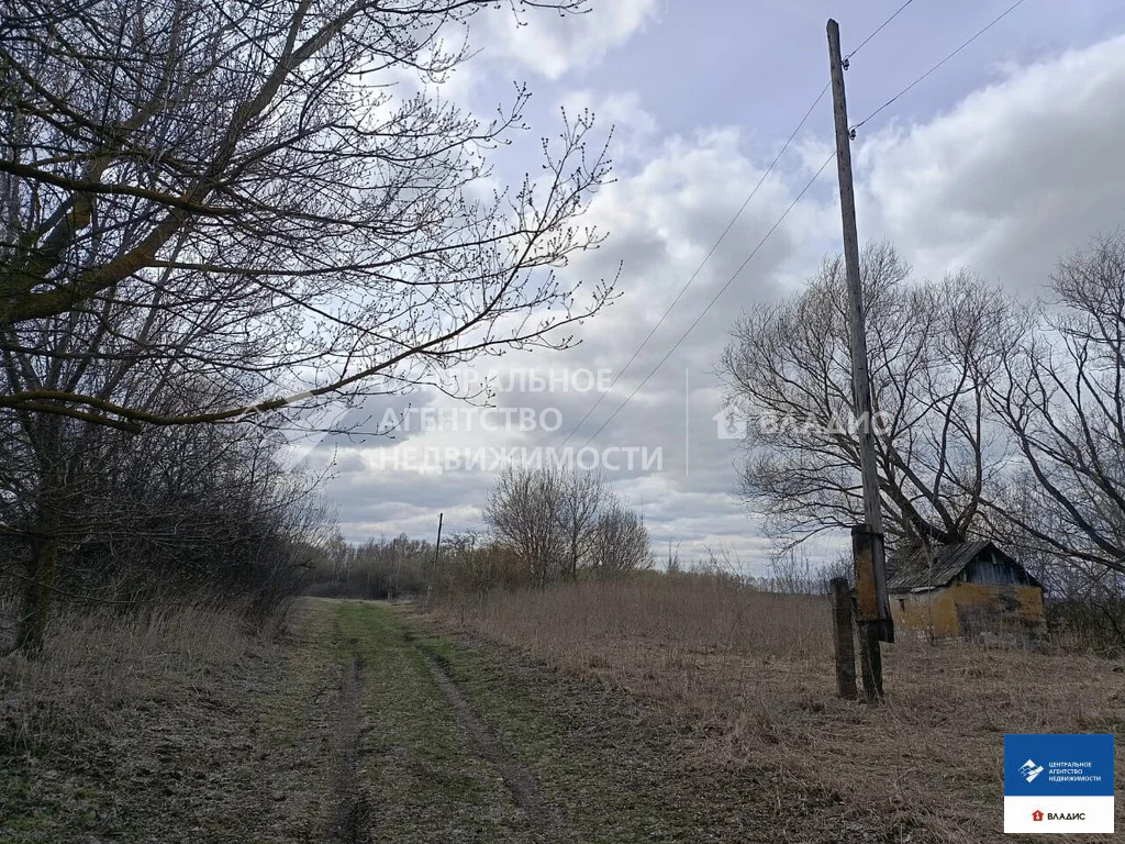 Продажа участка, Гагино, Пронский район, ул. Большая - Фото 3
