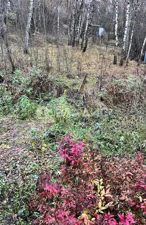 Одинцовский городской округ, село Немчиновка, проспект Революции,  дом ... - Фото 17