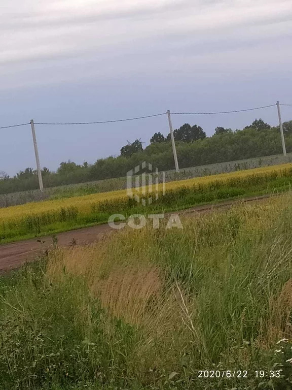 Публичная кадастровая карта воронежской области новоусманского района село рыкань