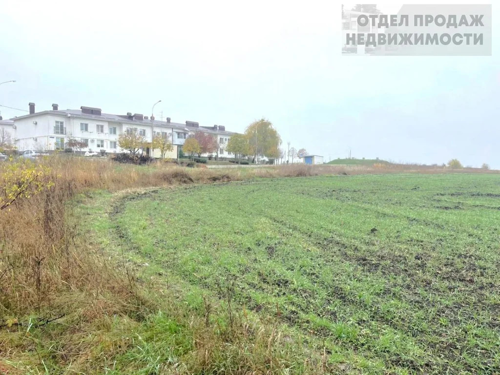 Большой участок - Фото 5