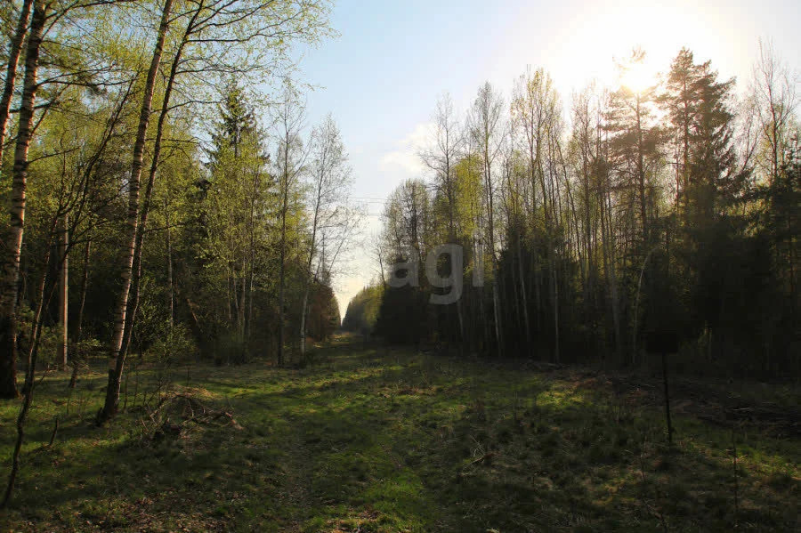 Продажа дома, Электросталь, СНТ Нижний Восход - Фото 3