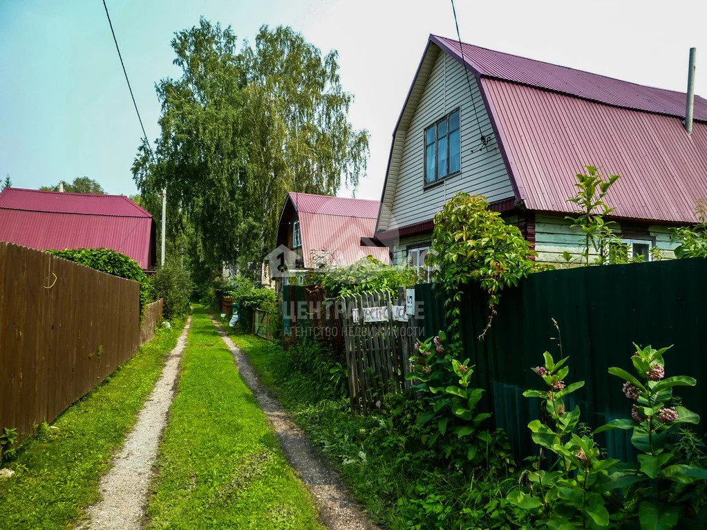Новосибирский район, садоводческое некоммерческое товарищество . - Фото 31