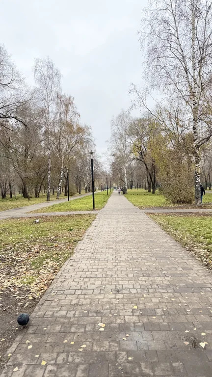 Аренда квартиры, Новокузнецк, ул. Кузнецова - Фото 17