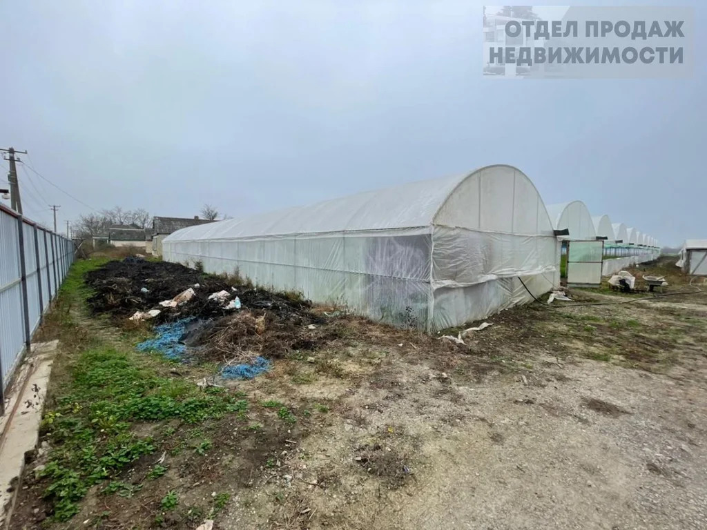 Участок с готовым бизнесом - Фото 12