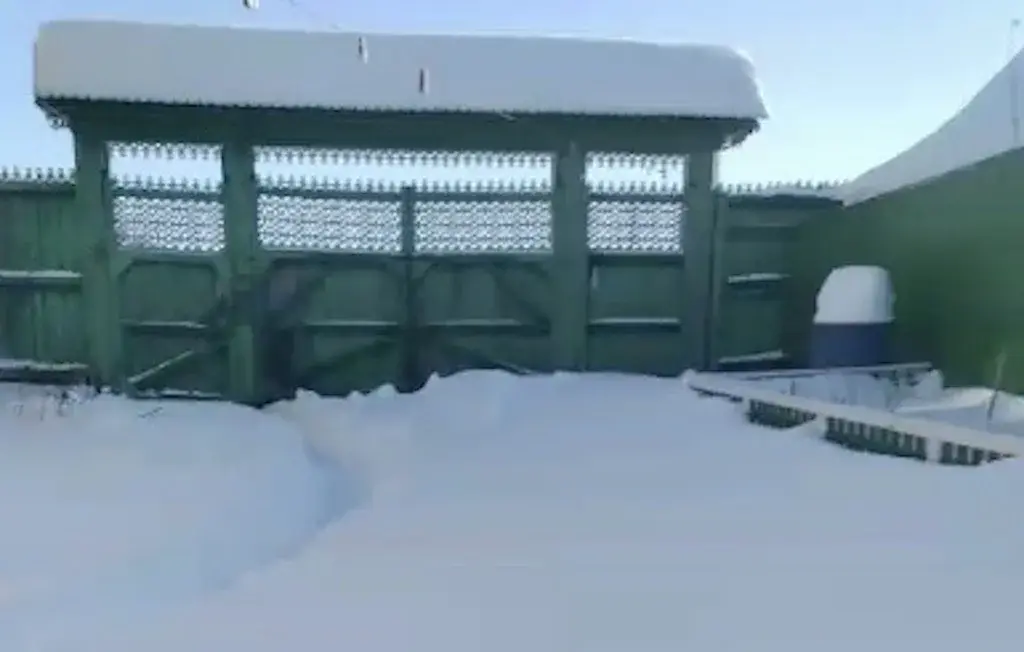 Курганская область Каргапольский р-он с. Брылино, ул. А. Антонова 18. - Фото 15