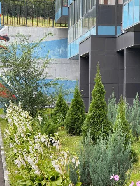Продается студия 29 кв.м. - Фото 16