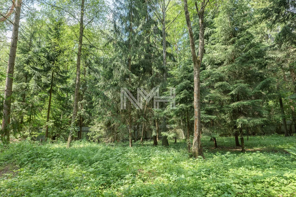Продажа участка, Изварино, Внуковское с. п, Ул. Новоизваринская - Фото 8