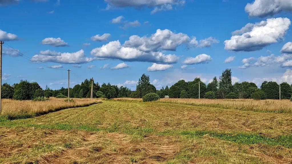 Добротный дом на хуторе под Псковскими Печорами, более 6-ти Га земли. - Фото 10