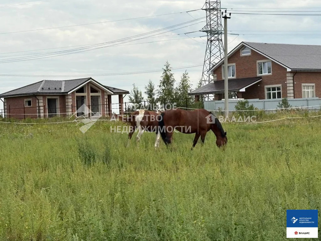 Продажа участка, Рязанский район, Солнечная улица - Фото 13
