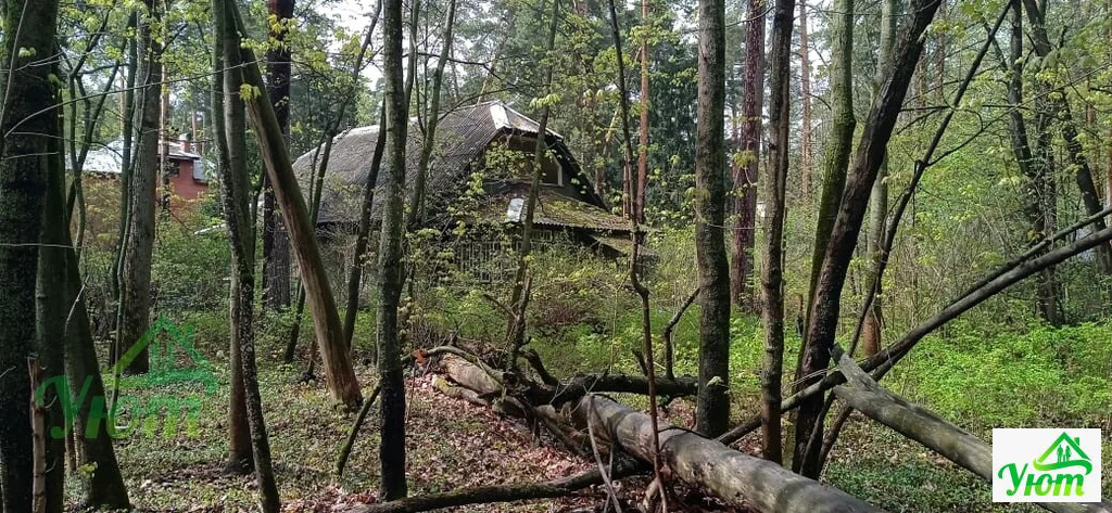 Продажа дома, Быково, Волоколамский район, улица Опаринская - Фото 5