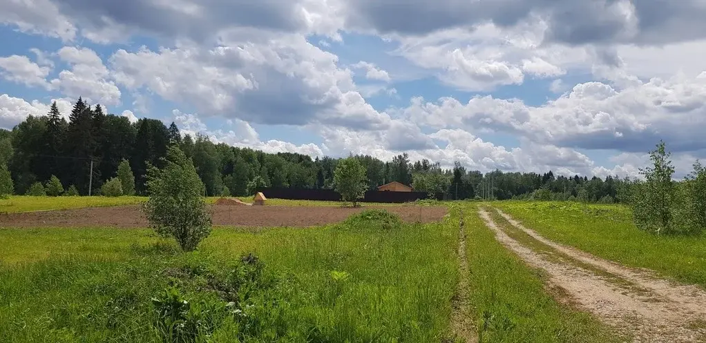 Лесная Опушка Купить Участок