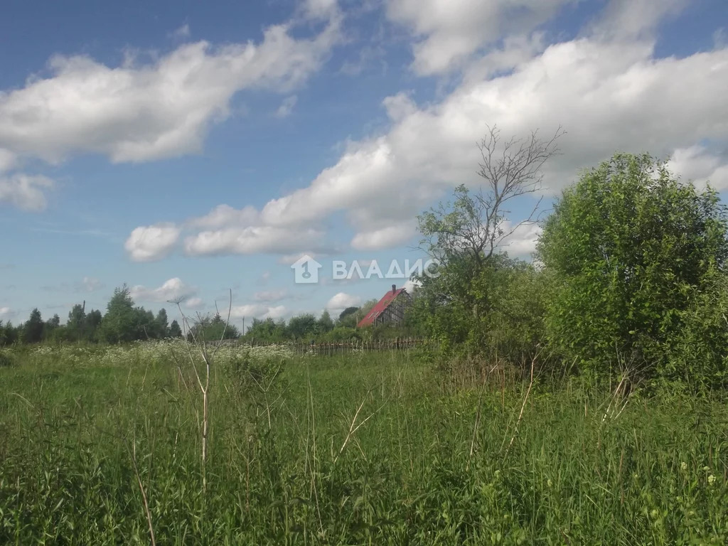 Судогодский район, деревня Кудрявцево,  земля на продажу - Фото 1
