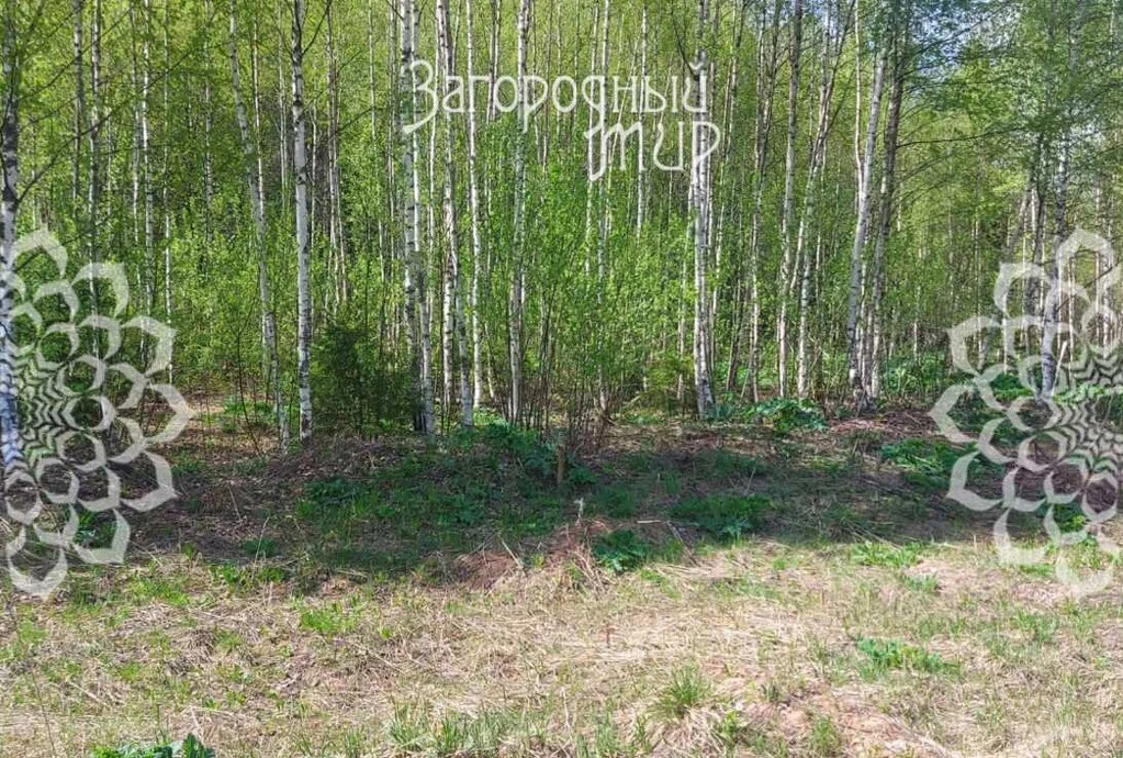 Продам участок, Новорижское шоссе, 71 км от МКАД - Фото 1