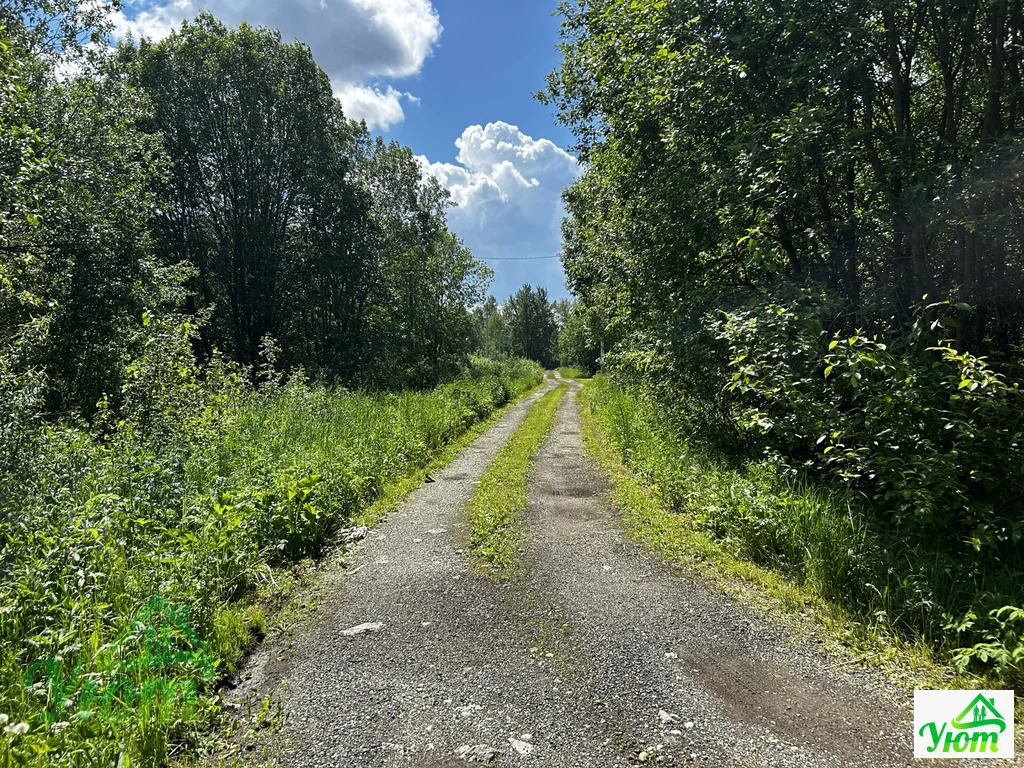 Продажа участка, Бубново, Раменский район - Фото 13