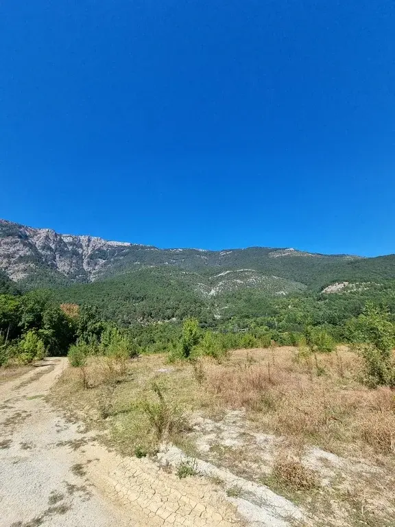 Уникальный участок, у горной реки - Фото 4