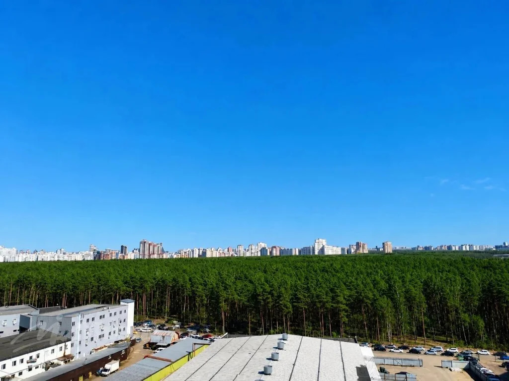 Объект 554939 - Фото 9