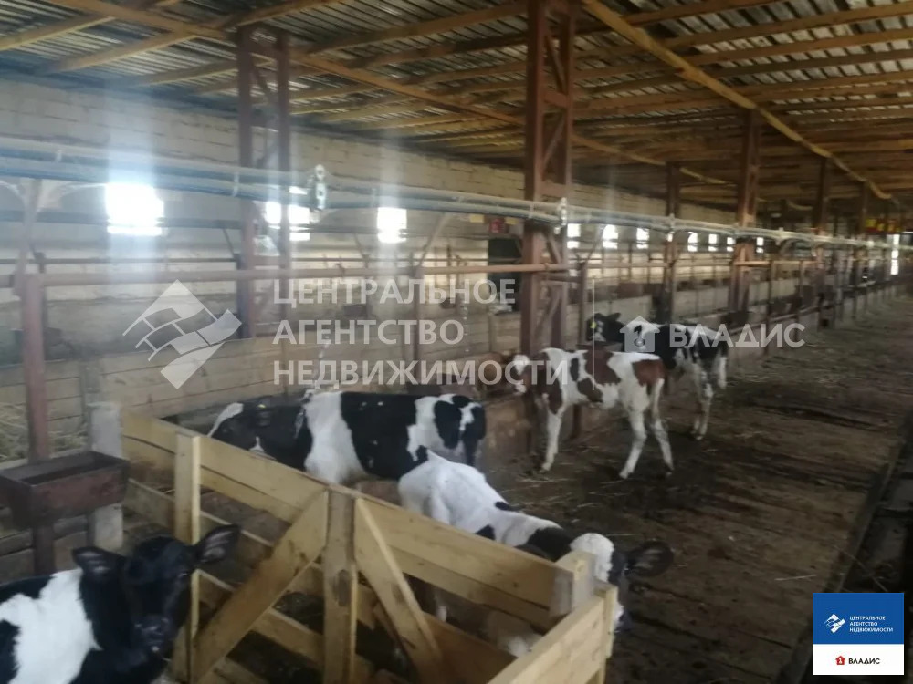 Продажа производственного помещения, Кукуй, Михайловский район - Фото 0