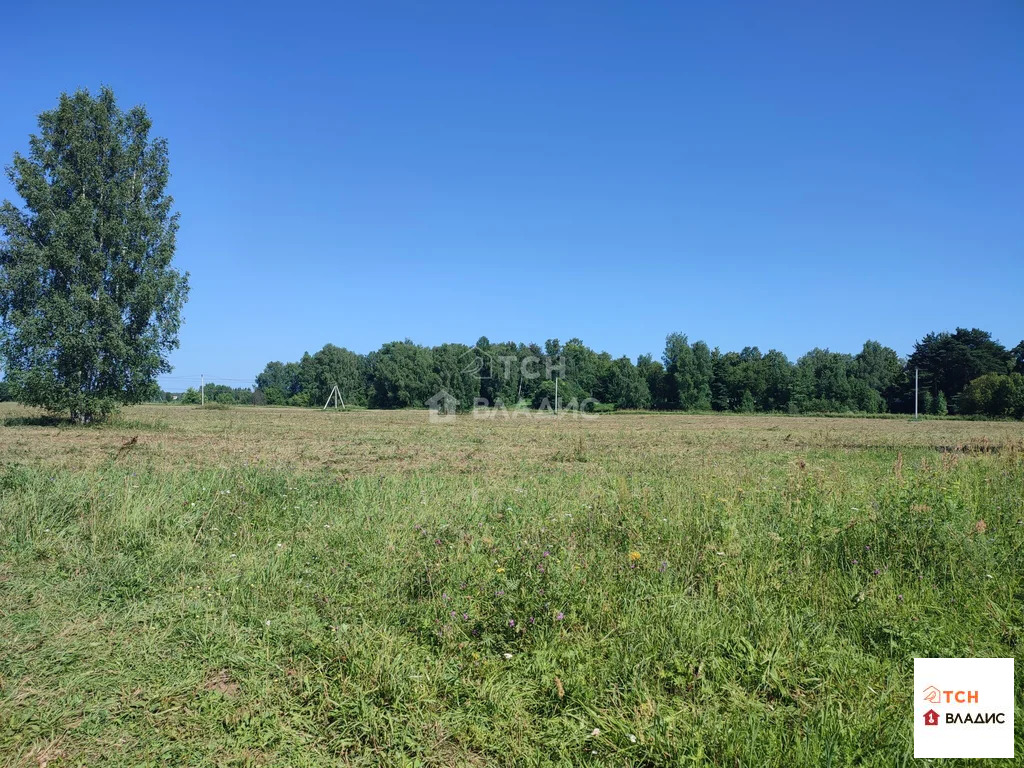 Продажа участка, Богородский г. о., 558 - Фото 5