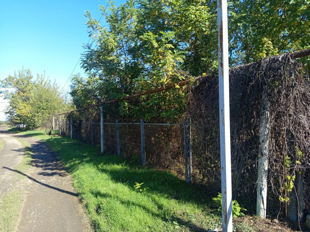 Продажа участка, Новомышастовская, Красноармейский район, ул. Толстого - Фото 7