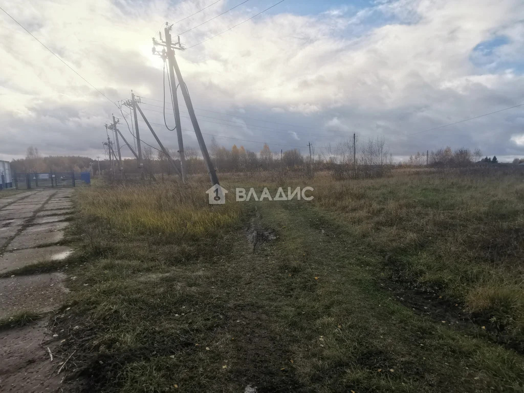 Суздальский район, село Новоалександрово,  земля на продажу - Фото 17