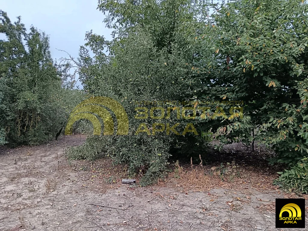 Продажа участка, Старотитаровская, Темрюкский район, ул. Кирова - Фото 7