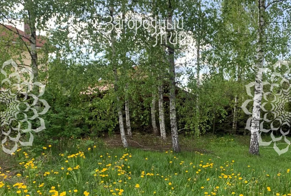 Продам участок, Дмитровское шоссе, 50 км от МКАД - Фото 5