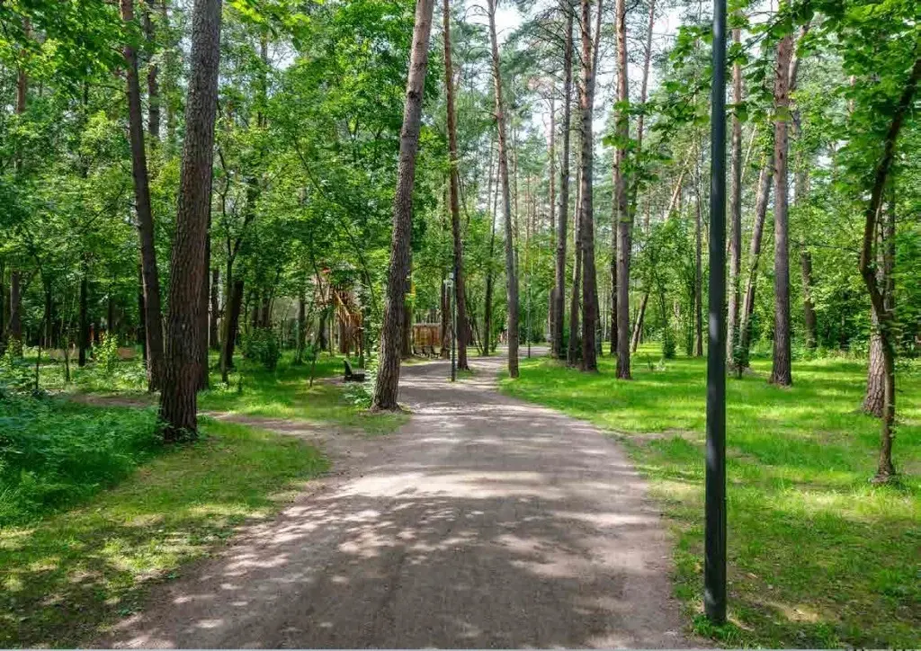 Участок у пруда на Рублевке в Шульгино - Фото 12