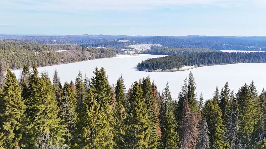 Дом по ул. Северная - Фото 1
