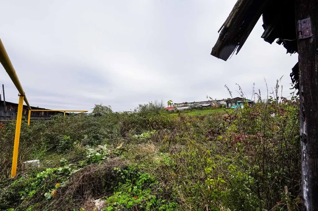 Дом по ул. Зотова - Фото 5