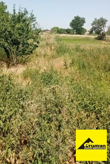 Продажа участка, Ейский район - Фото 2