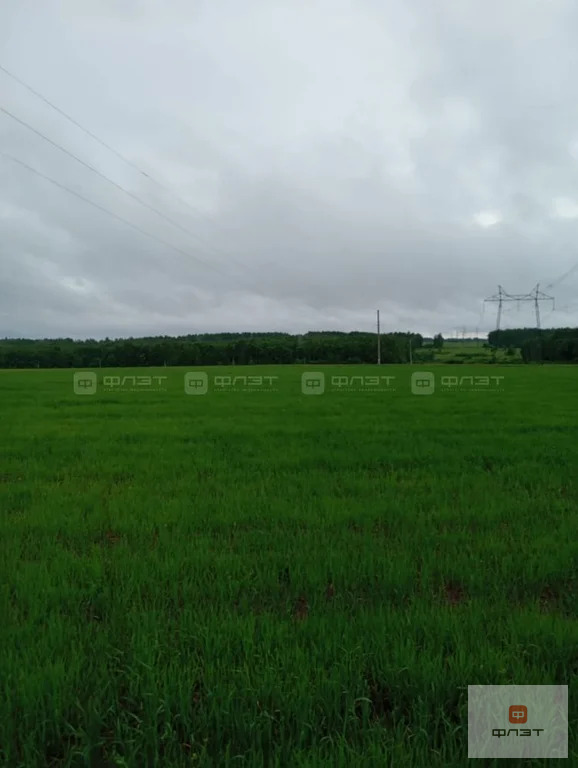 Продажа участка, Большие Кургузи, Зеленодольский район - Фото 5