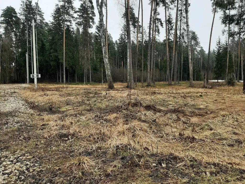 Продам участок ИЖС 13.74 сот. в с. Ивановское - Фото 10