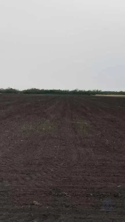 Продаю поливные земли сельхозназначения в Аксайском районе п. Дорожный - Фото 2