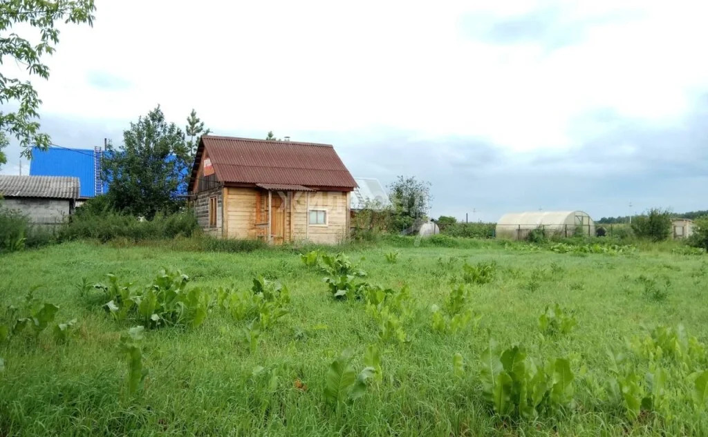 Продажа дома, Верх-Ирмень, Ордынский район, Максима Горького - Фото 0