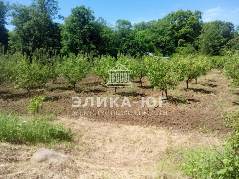 Продажа участка, Дефановка, Туапсинский район - Фото 12