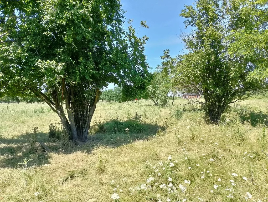 Купить Участок В Старовеличковской Краснодарского Края