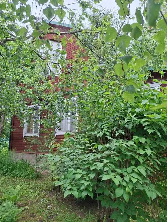 Продается дом в СНТ Ополье, Рузский район Московсмкая обл. - Фото 2