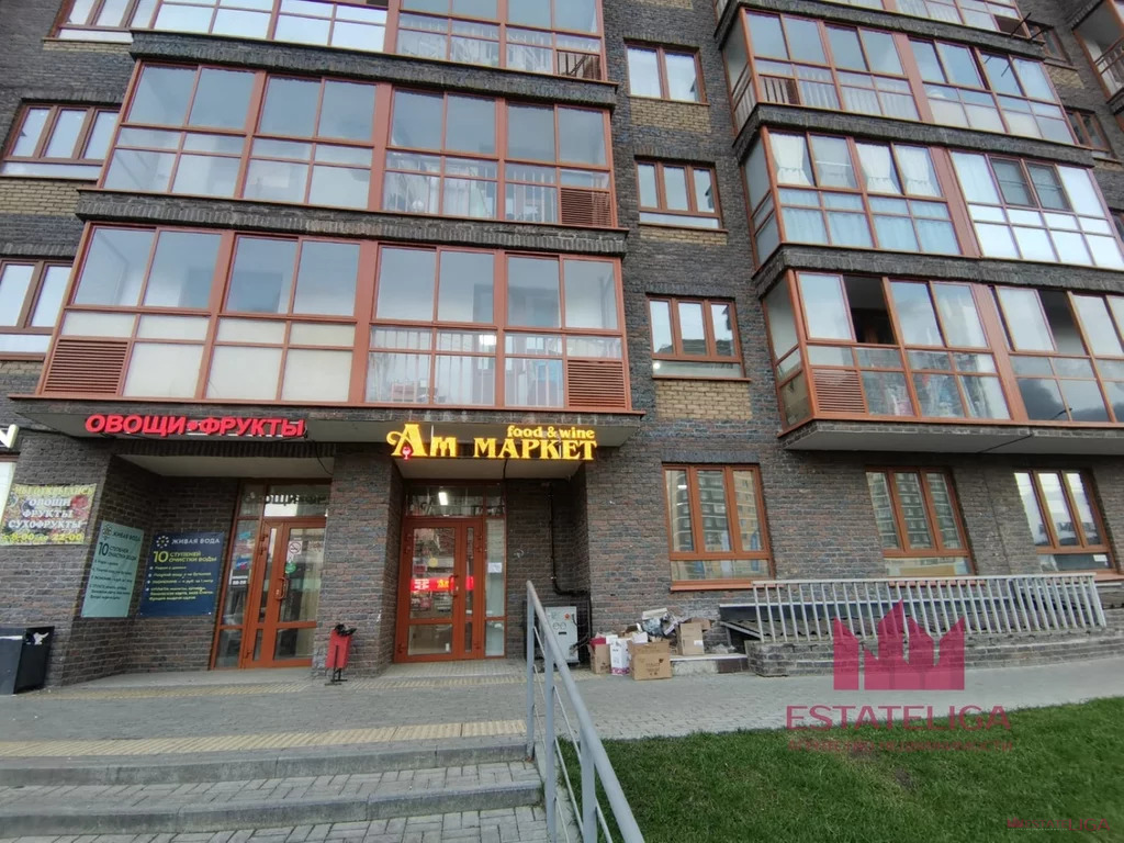 Продажа псн, Балашиха, Балашиха г. о, Косинское шоссе - Фото 2